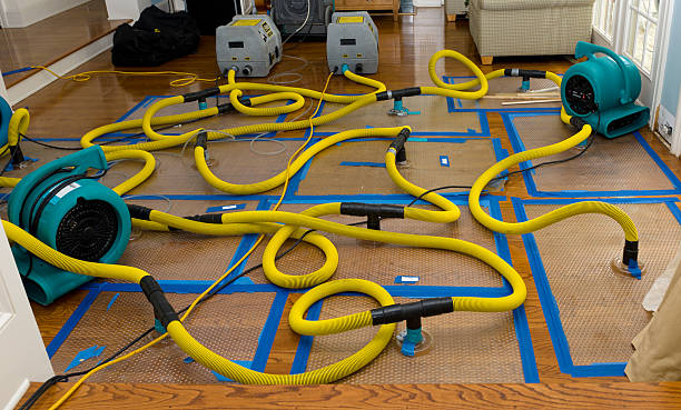 Professional Basement Flood Cleanup technician working in Tulia, TX